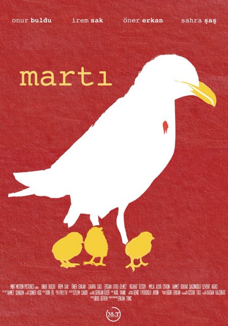 თოლია / tolia / Marti