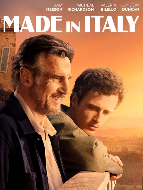 დამზადებულია იტალიაში / damzadebulia italiashi / Made in Italy