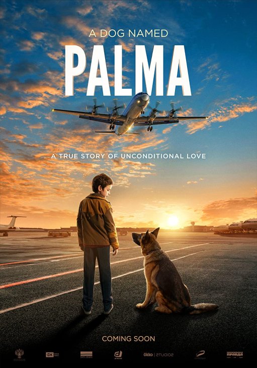 პალმა / palma