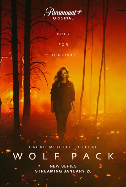 მგლის ხროვა / mglis xrova / Wolf Pack