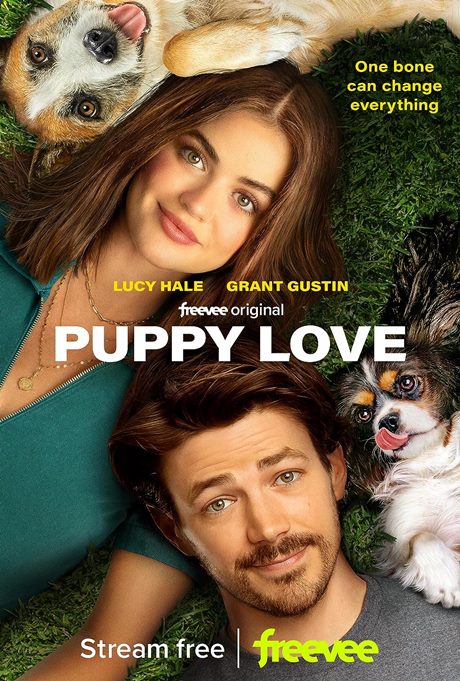 ლეკვის სიყვარული / lekvis siyvaruli / Puppy Love